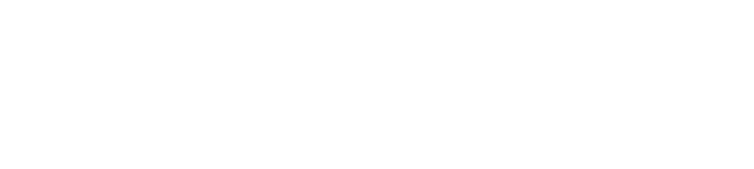 Bluestone conciergerie